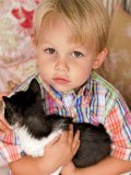 Картинка-анонс к статье Аллергия на кошку у ребенка