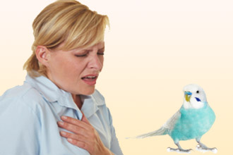 признакие аллергии на попугаев