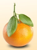 Картинка-анонс к статье Аллергия от мандаринов