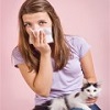 Проявление аллергии на кошей
